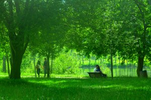 Foto de Mandina Fernandes